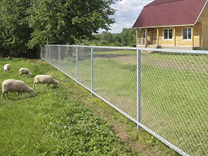 Забор из сетки Рабица.jpg