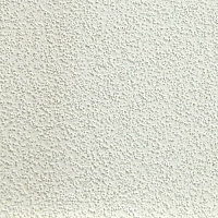 Плита потолочная ARMSTRONG Oasis 90 RH 60 x 60 см, 12 мм