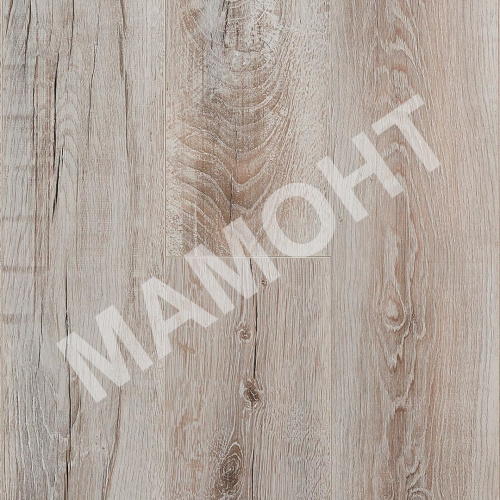 Ламинат Kastamonu Artfloor Дуб Фрост (554)