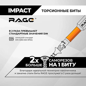 Биты "звездочки" TORX-20 50 мм торсионные (2 шт.) RAGE by VIRA (554147)