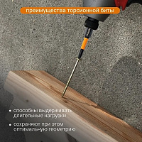 Биты "звездочки" TORX-20 50мм торсионные (2 шт.) RAGE by VIRA (554147)