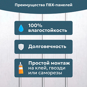 Панель ПВХ Европрофиль Белый лак (3000 х 250 х 8 мм) 10 шт.