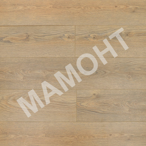 Ламинат Kastamonu Royce Вяз Альбрехт (09)