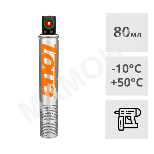 Баллон на 1000 гвоздей 165 мм TOUA Премиум