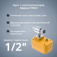 Кран с электроприводом Neptun PROFI 220В