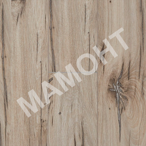 Ламинат Kastamonu Sunfloor Дуб Северная Звезда (63)