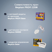 Кран с электроприводом Neptun PROFI 220В
