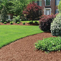 Кора мульча сосновая мелкая декоративная Elitte Terre, 50 л