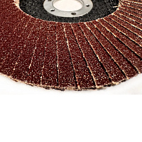 Круг лепестковый 125 х 22 мм P40 торцевой КЛТ2 БАЗ (KK19XW)