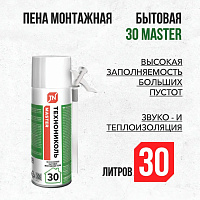 Пена монтажная ТЕХНОНИКОЛЬ 30 MASTER бытовая с аппликатором, 520 мл