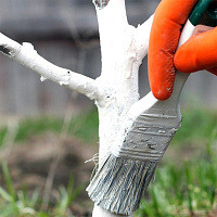 Краска VGT акриловая для садовых деревьев ВД-АК-1180, 3 кг