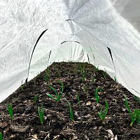 Парник "Бабушкин парничок" 6 м, ОСТРОВ КОМФОРТА