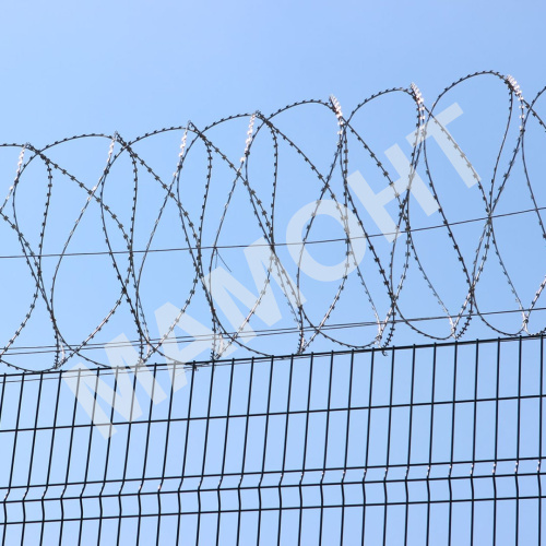 Егоза СББ АКЛ оцинкованная (колючая проволока), 500 х 40 х 3, 10 м - Фото 2