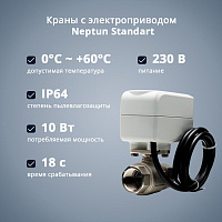 Кран с электроприводом Neptun Standart 230В