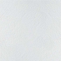 Плита потолочная ARMSTRONG Retail 90 RH 60 x 60 см, 12 мм
