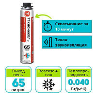 Пена монтажная ТЕХНОНИКОЛЬ 65 STANDART профессиональная всесезонная, 1000 мл