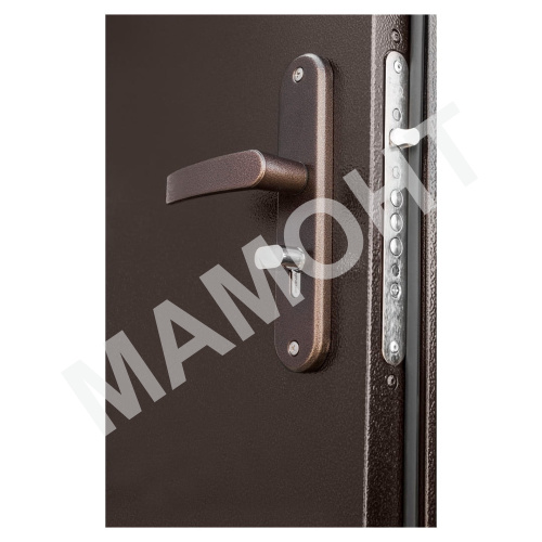 Дверь ПРОФИ (DL) двустворчатая Антик медь / Антик медь Промет - Фото 4