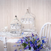 Панель ПВХ Европрофиль Белый ясень 2043 (2700 х 250 х 8 мм) 4 шт.