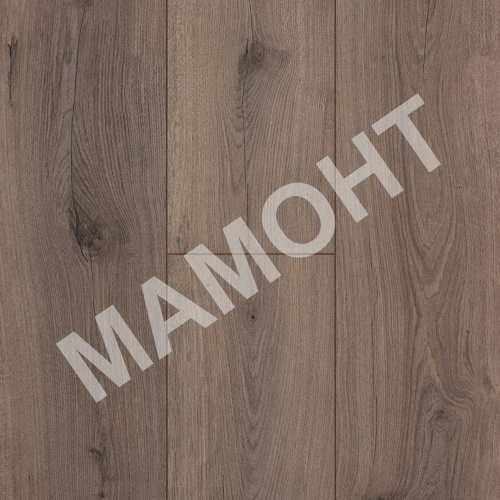 Ламинат Kastamonu Blue Дуб Дакар (729)