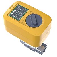 Кран с электроприводом Neptun PROFI 12В