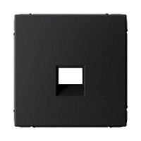 Накладка Systeme Electric ARTGALLERY для информационных функций типа Keystone, карбон