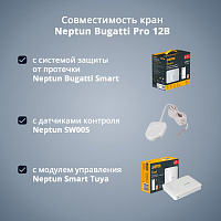 Кран с электроприводом Neptun Bugatti Pro 12В