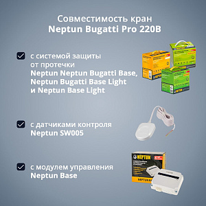 Кран с электроприводом Neptun Bugatti Pro 220В
