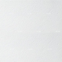 Плита потолочная ARMSTRONG Bioguard Plain 90 RH 60 x 60 см, 12 мм