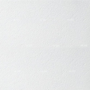 Плита потолочная ARMSTRONG Bioguard Plain 90 RH 60 x 60 см, 12 мм