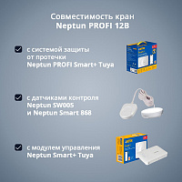 Кран с электроприводом Neptun PROFI 12В