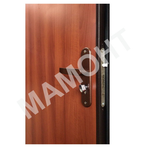 Дверь СПЕЦ PRO Антик медь / Итальянский орех Промет - Фото 4