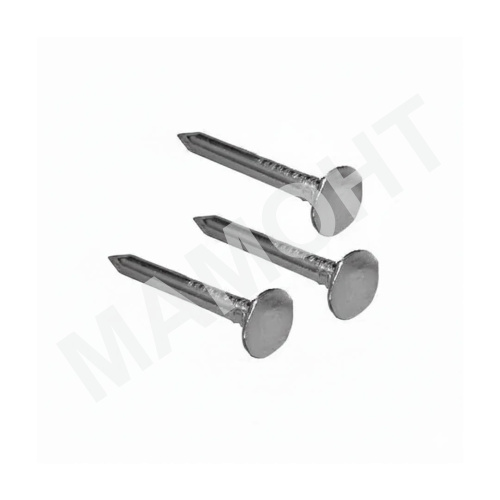 Гвозди оцинкованные Шинглас ершеные ТЕХНОНИКОЛЬ 30 х 3,5 мм