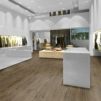 Ламинат Kronostar Eco-Tec Дуб Миллениум (D2079)