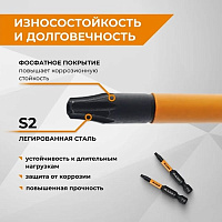 Биты "звездочки" TORX-30 50мм торсионные (2 шт.) RAGE by VIRA (554150)