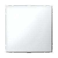 Заглушка Systeme Electric ARTGALLERY без суппорта для многопостовых рамок, лотос