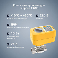 Кран с электроприводом Neptun PROFI 220В