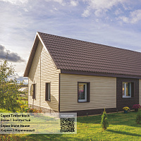 Сайдинг виниловый Ю-Пласт Timberblock ЯСЕНЬ Золотистый