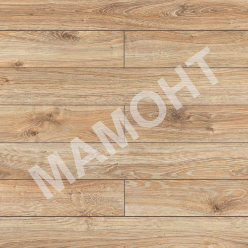 Ламинат Kastamonu Marsala Дуб Борнео (503)